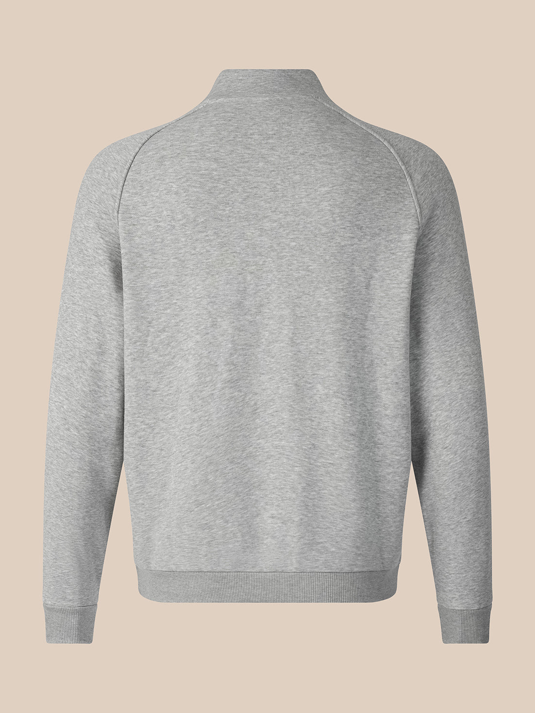 A light gray heathered long-sleeve quarter-zip sweatshirt shown from the back, featuring a mock neck and ribbed cuffs and hem, set against a solid beige background.
