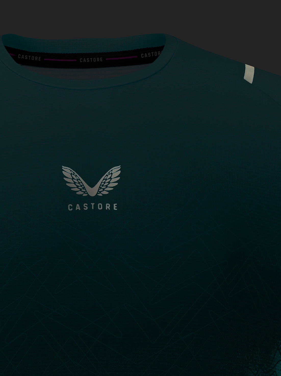 Dark teal Castore t-shirt featuring a white winged logo and the brand name 'CASTORE' printed on the chest, shown against a dark background.