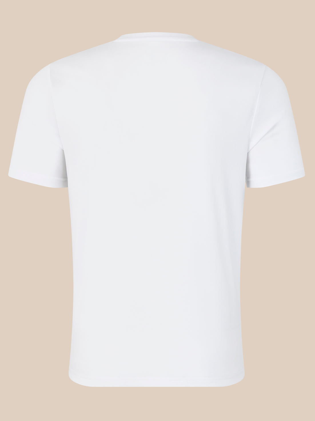 Back view of white crew neck T-shirt with no front graphics.