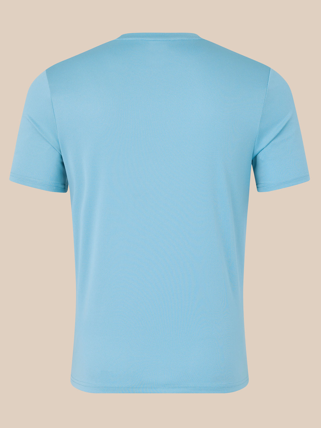 Back view of a light blue Wings Graphic T-Shirt with no front print visible.