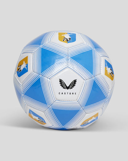 Mansfield Size 1 football close up showing blue striped panels club crest and Castore branding