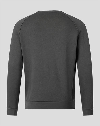 A dark gray crewneck sweatshirt shown from the back, featuring raglan sleeves and ribbed cuffs and hem, displayed on a neutral light gray background.