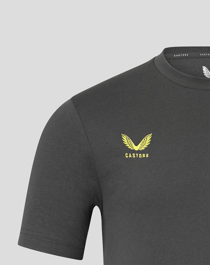 A close-up of a dark gray crewneck t-shirt featuring a yellow winged logo and the brand name 'CASTORE' printed on the left chest, set against a solid light gray background.