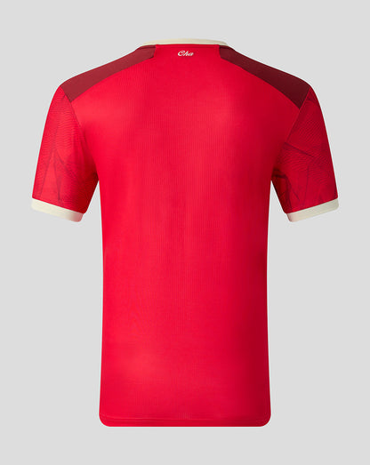 Back view of Preston North End 26/27 third shirt in Rococco Red with dark shoulder panels.