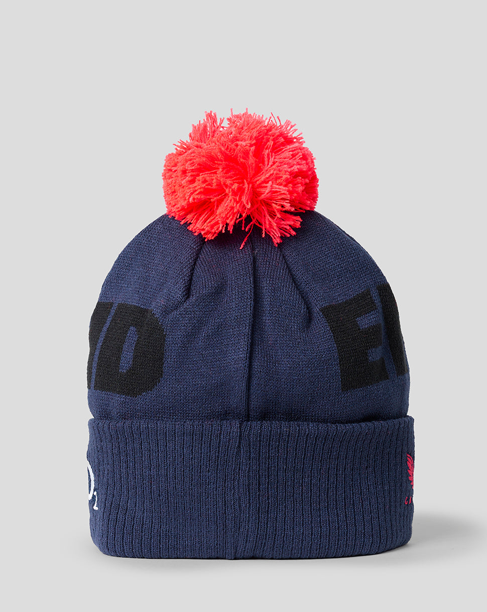 Navy blue beanie with red pom-pom on a light gray background