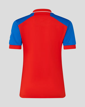 Red and blue polo shirt on a gray background