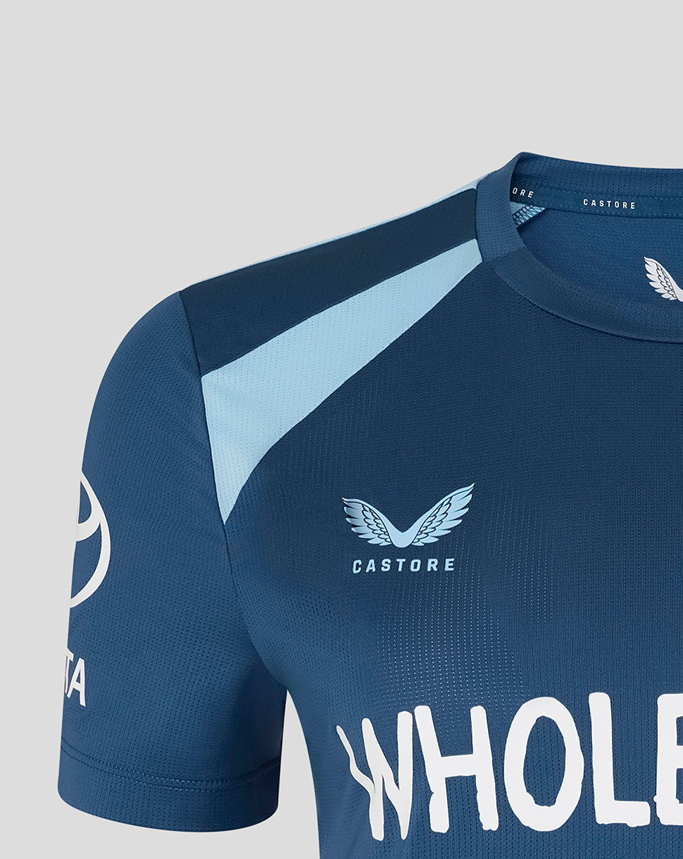 Blue cricket jersey with 'Castore' branding on a gray background