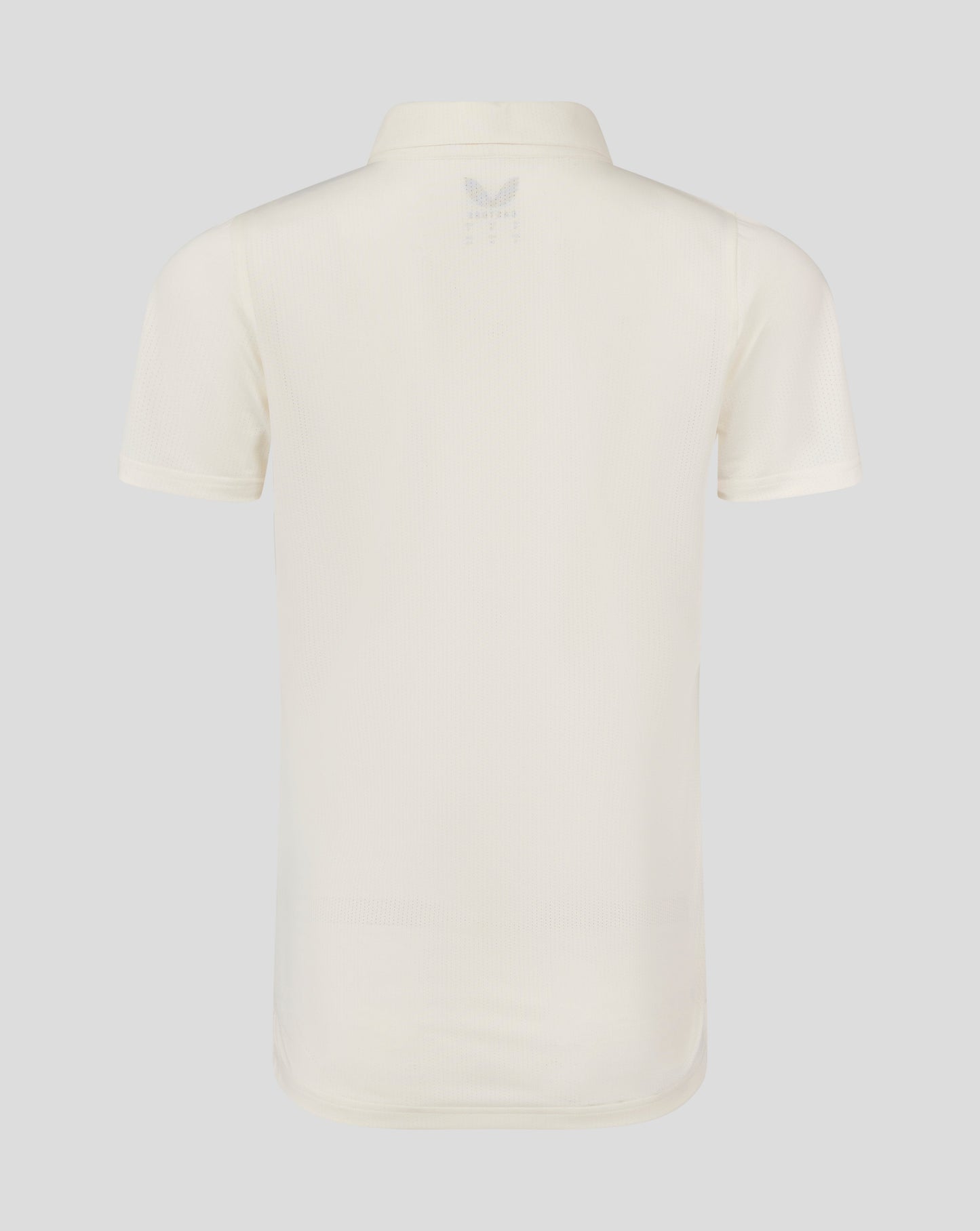 Back view of Cannoli Cream cricket shirt showing curved hem and small Castore logo at upper back