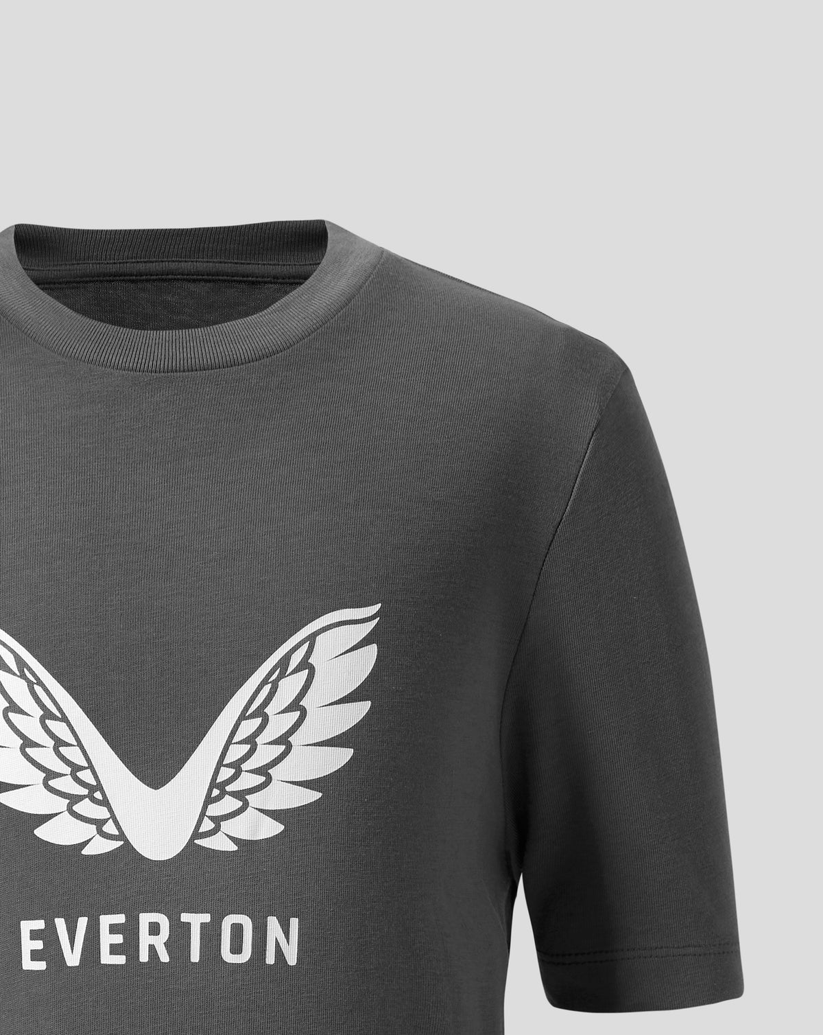 Front close-up of a dark grey Everton Junior 25/26 T Shirt with a white wing crest and partial lettering