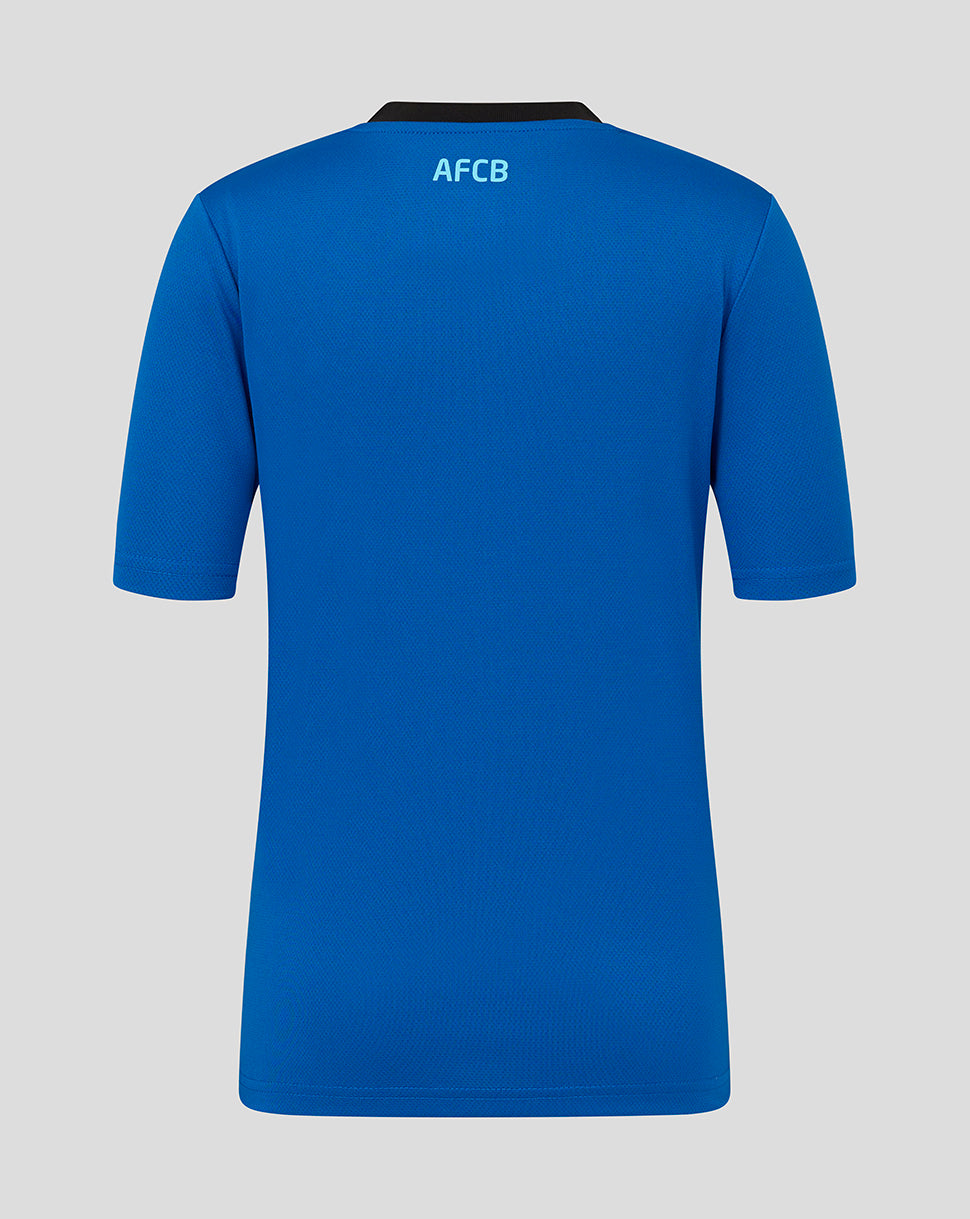 Back view of blue AFC Bournemouth junior away shirt with AFCB lettering at the neckline.