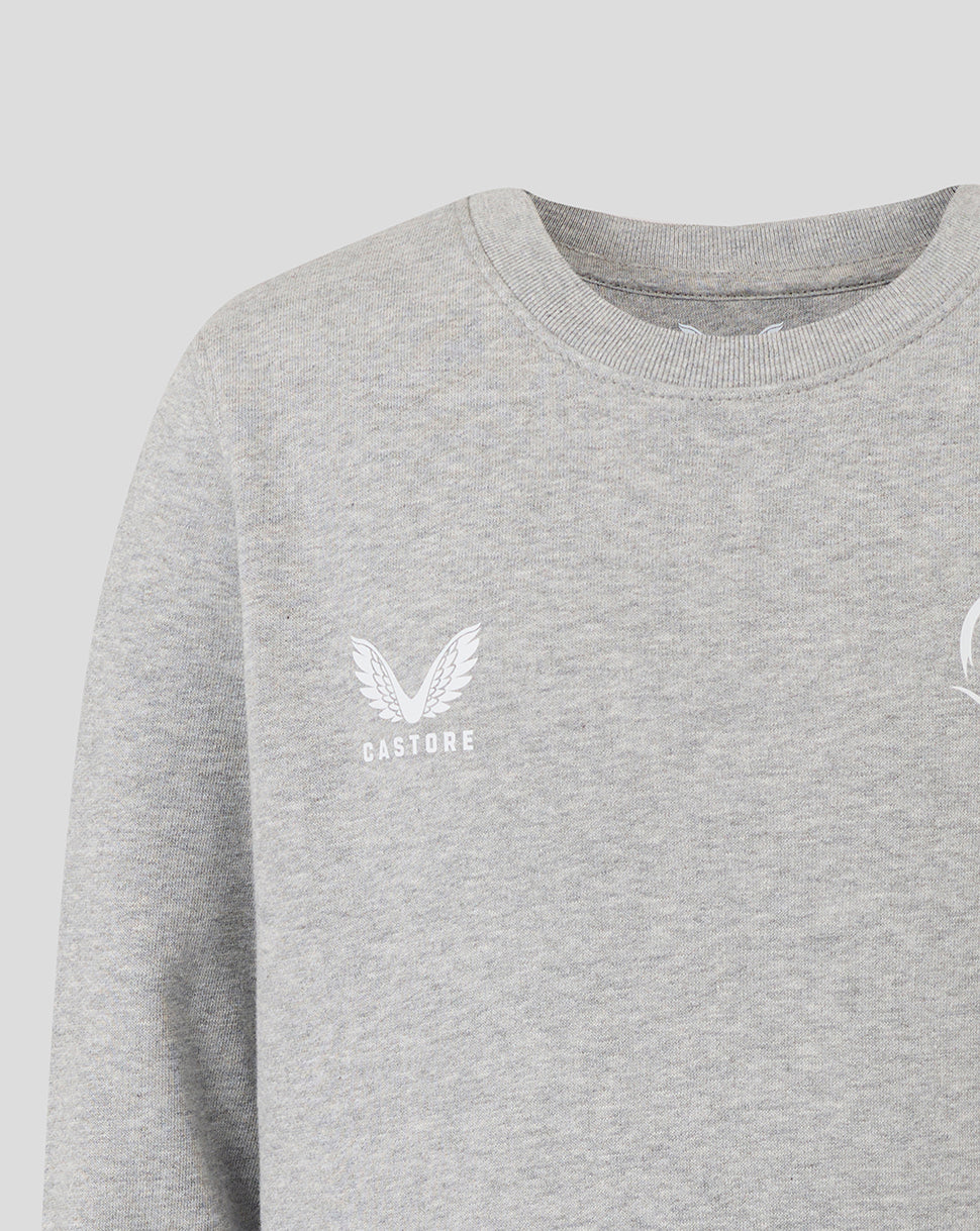 Grey crewneck sweatshirt close up showing Castore logo with wings on the left chest