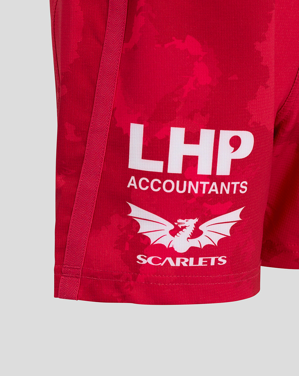 Close-up of the back left leg showing LHP Accountants logo and Scarlets dragon