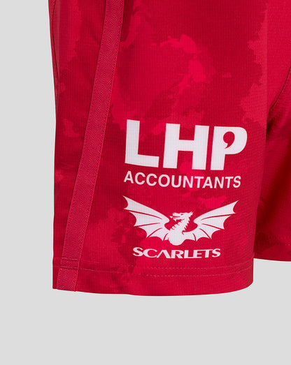 Close-up of the back left leg showing LHP Accountants logo and Scarlets dragon