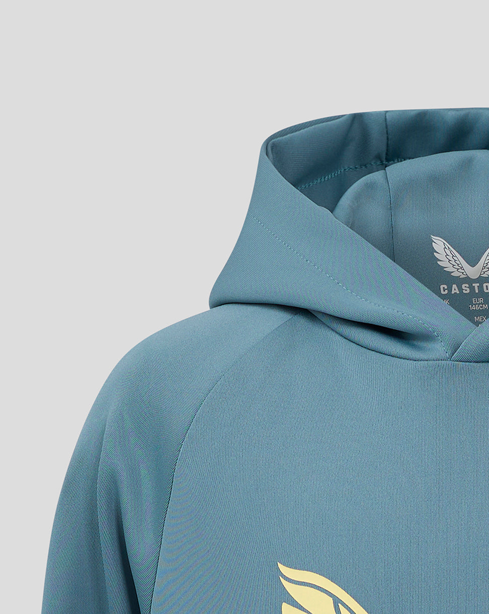 Detail of the hood and neckline on the light blue Mansfield Junior Travel Hoody showing interior label and wing logo.