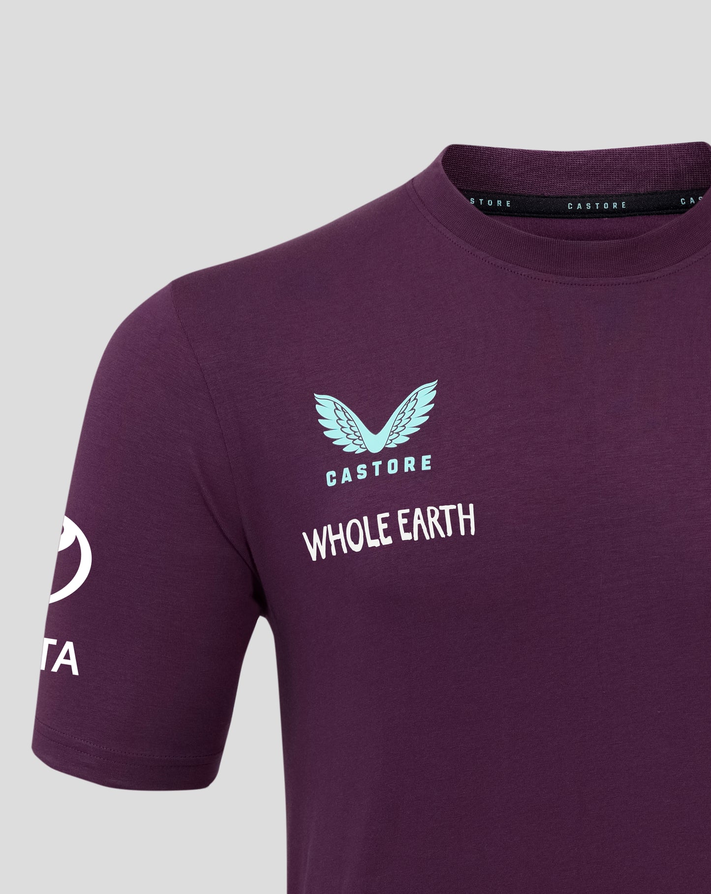 Close up of the front chest showing a light blue wing logo and Whole Earth text on the purple training T shirt.