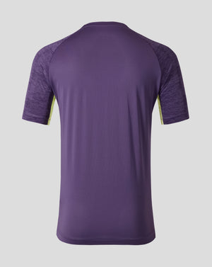 Back view of Everton FC Loganberry performance T shirt showing purple body and heathered sleeves