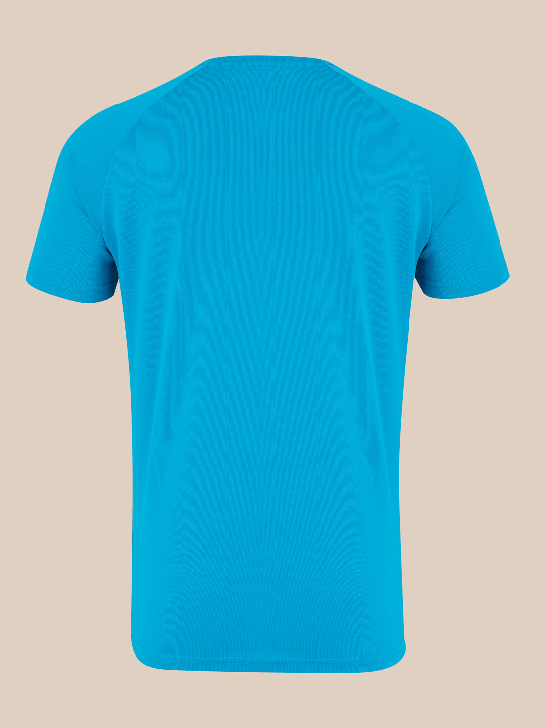 Back view of blue men's T shirt