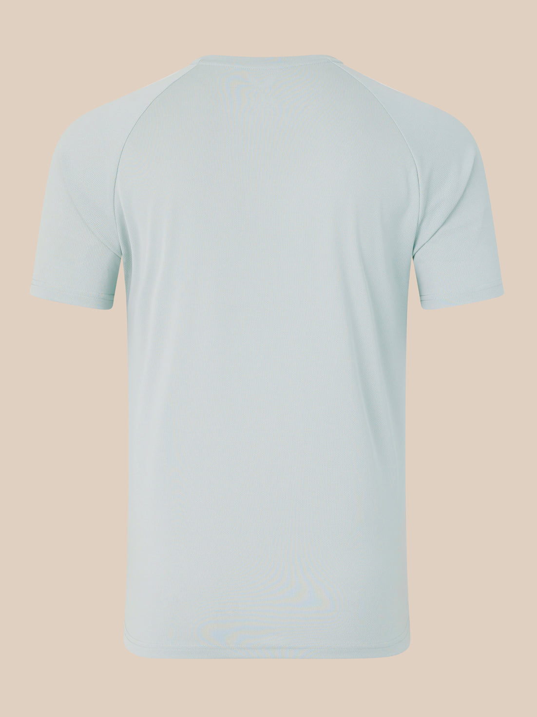 Back view of pale blue logo T-shirt with a crew neck and short sleeves