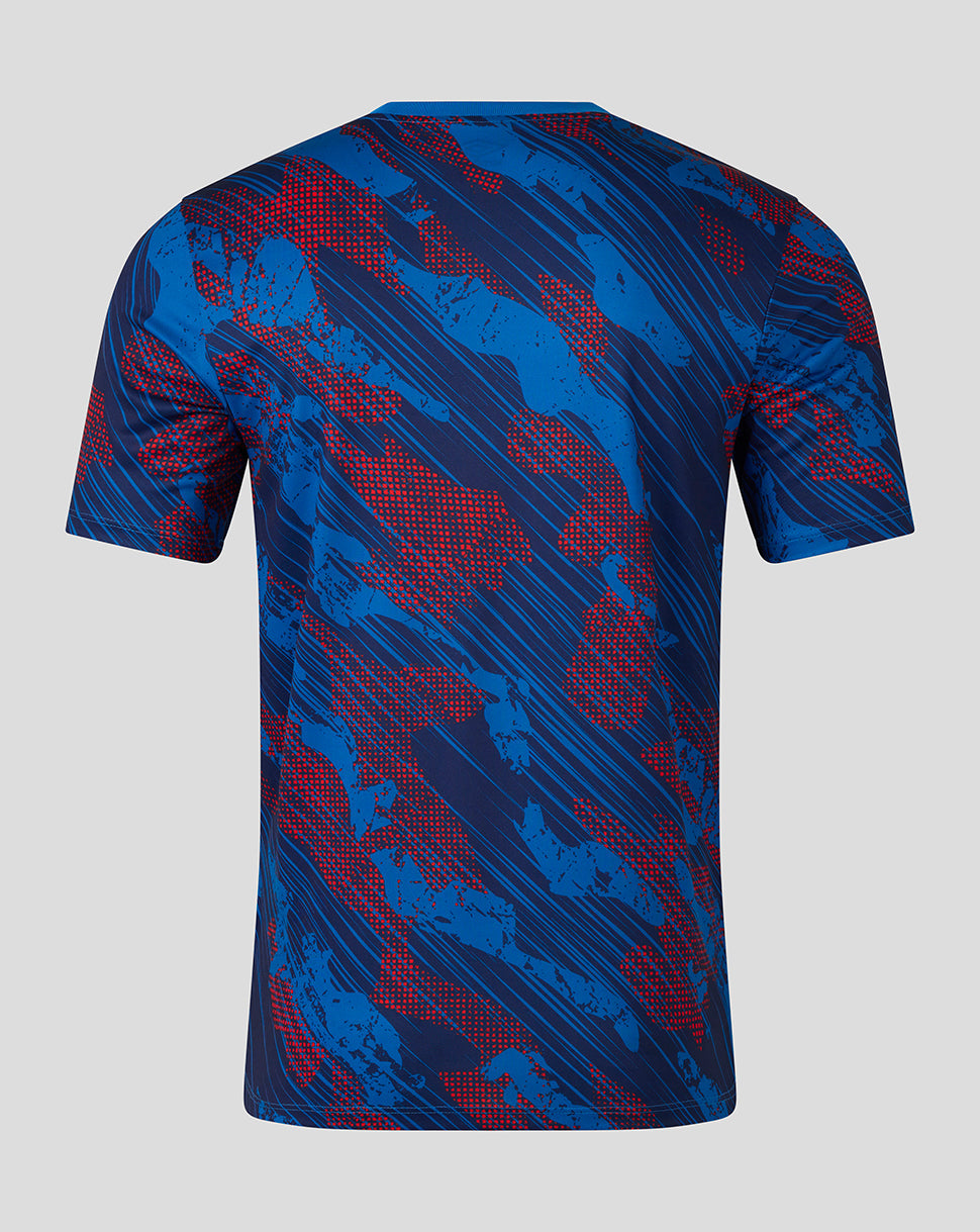 Blue and red patterned t-shirt on a gray background