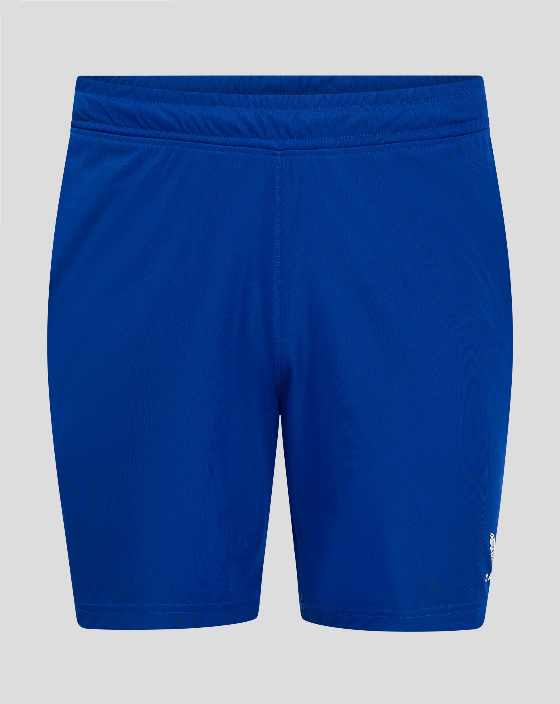 Back view of Surf The Web mens match shorts in blue showing elastic waistband and drawcord channel