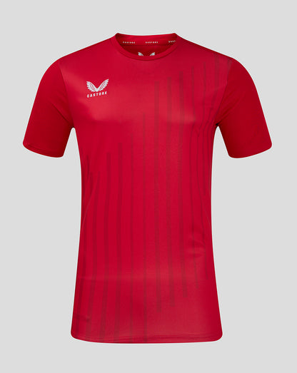 Red short sleeve training tee with subtle vertical stripes and Castore logo on the chest.