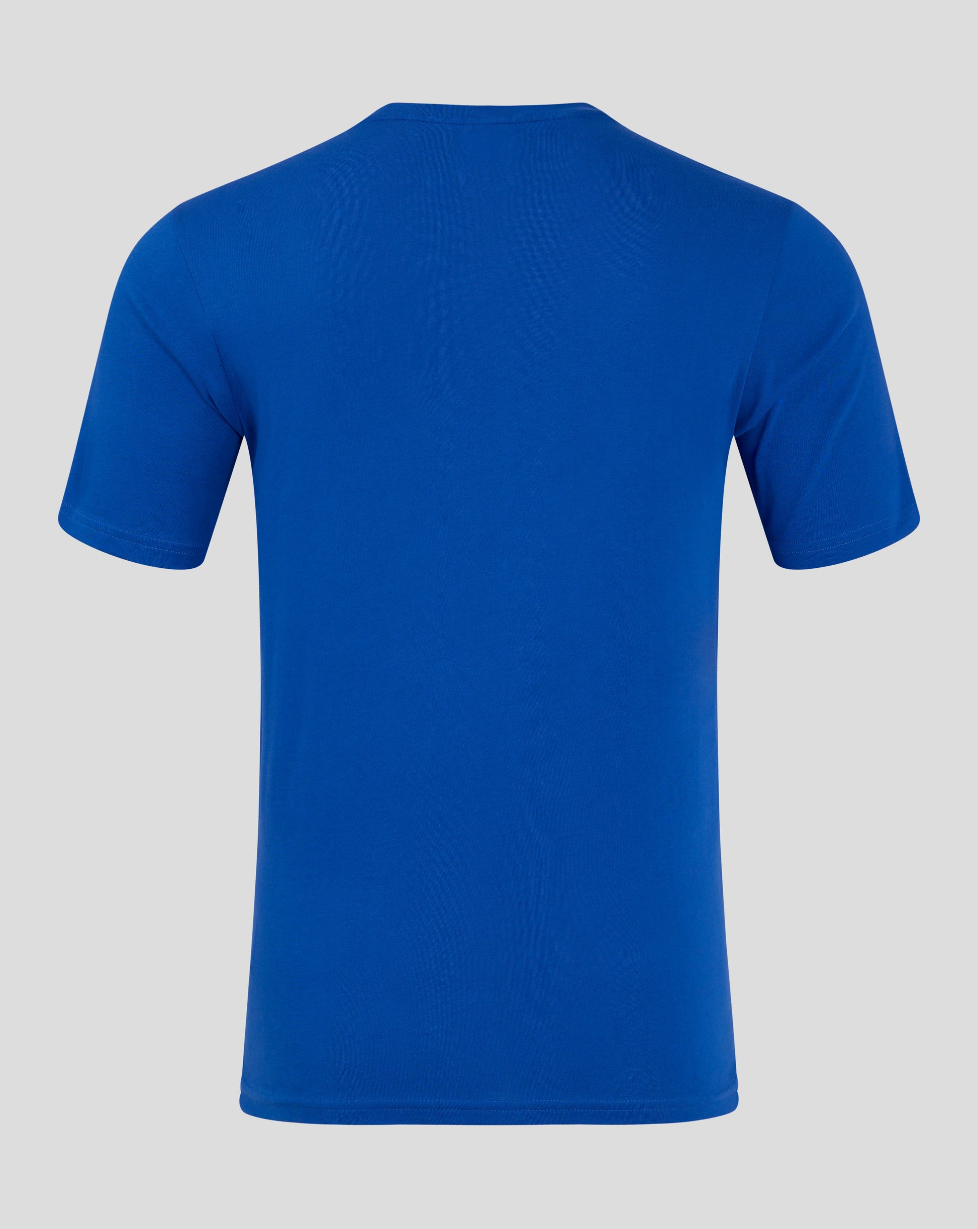 Back view of blue mens cotton leisure tee with short sleeves and crew neck
