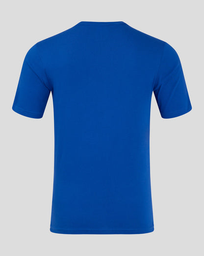 Back view of blue mens cotton leisure tee with short sleeves and crew neck