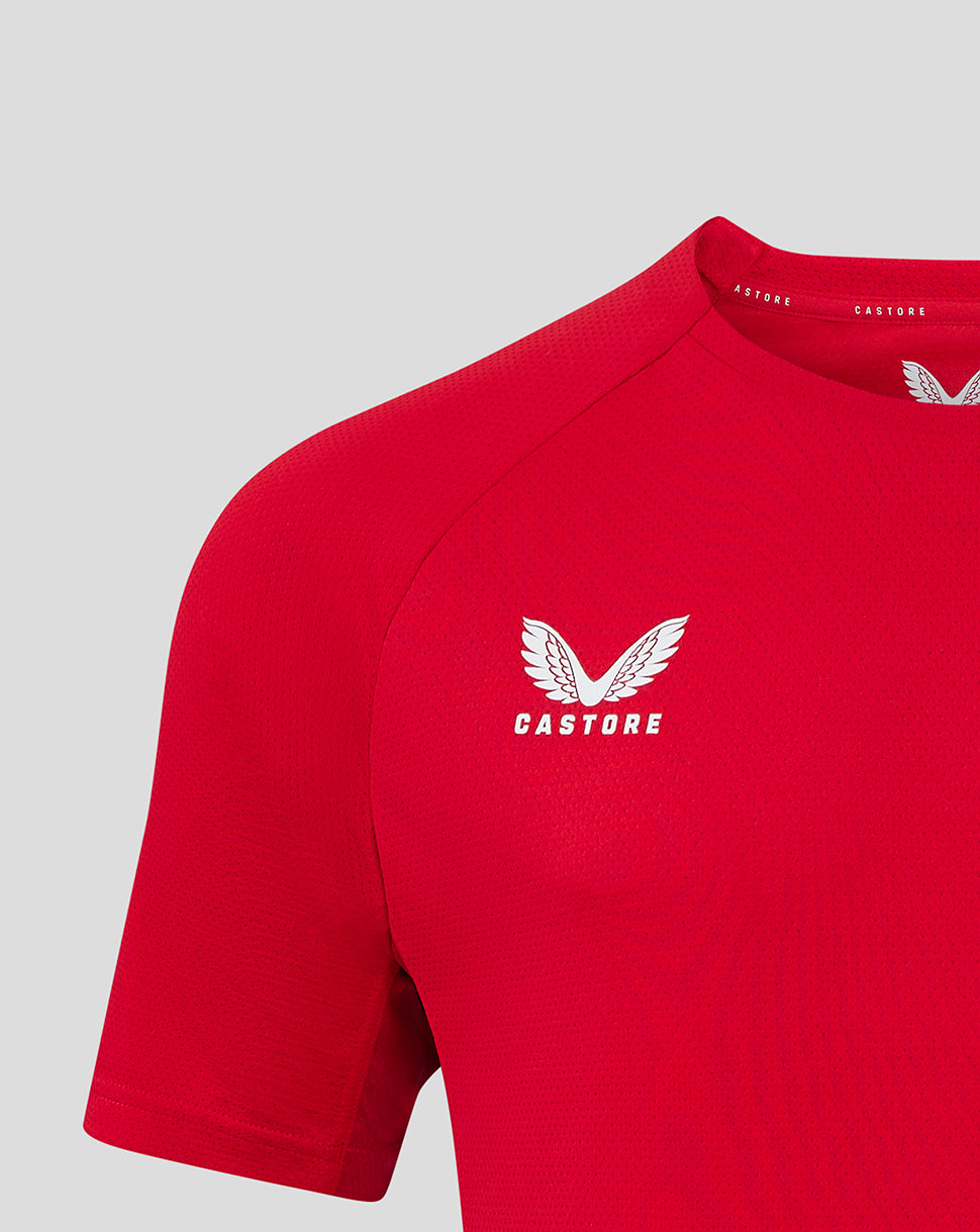 Front view of red Scarlets Pro Players T shirt with Castore branding at the neckline and Scarlets crest on the chest.