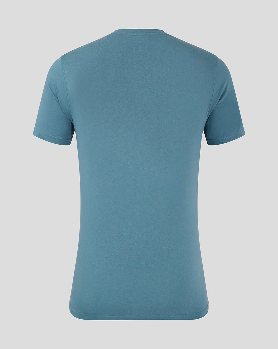 Back view of blue Mansfield Town training tee with plain back and short sleeves.