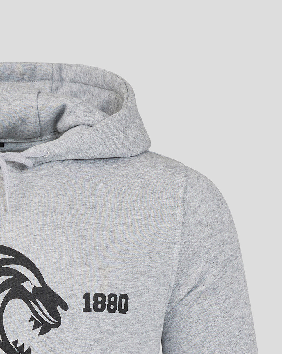Grey hoodie chest with bold tiger graphic and 1880 text.