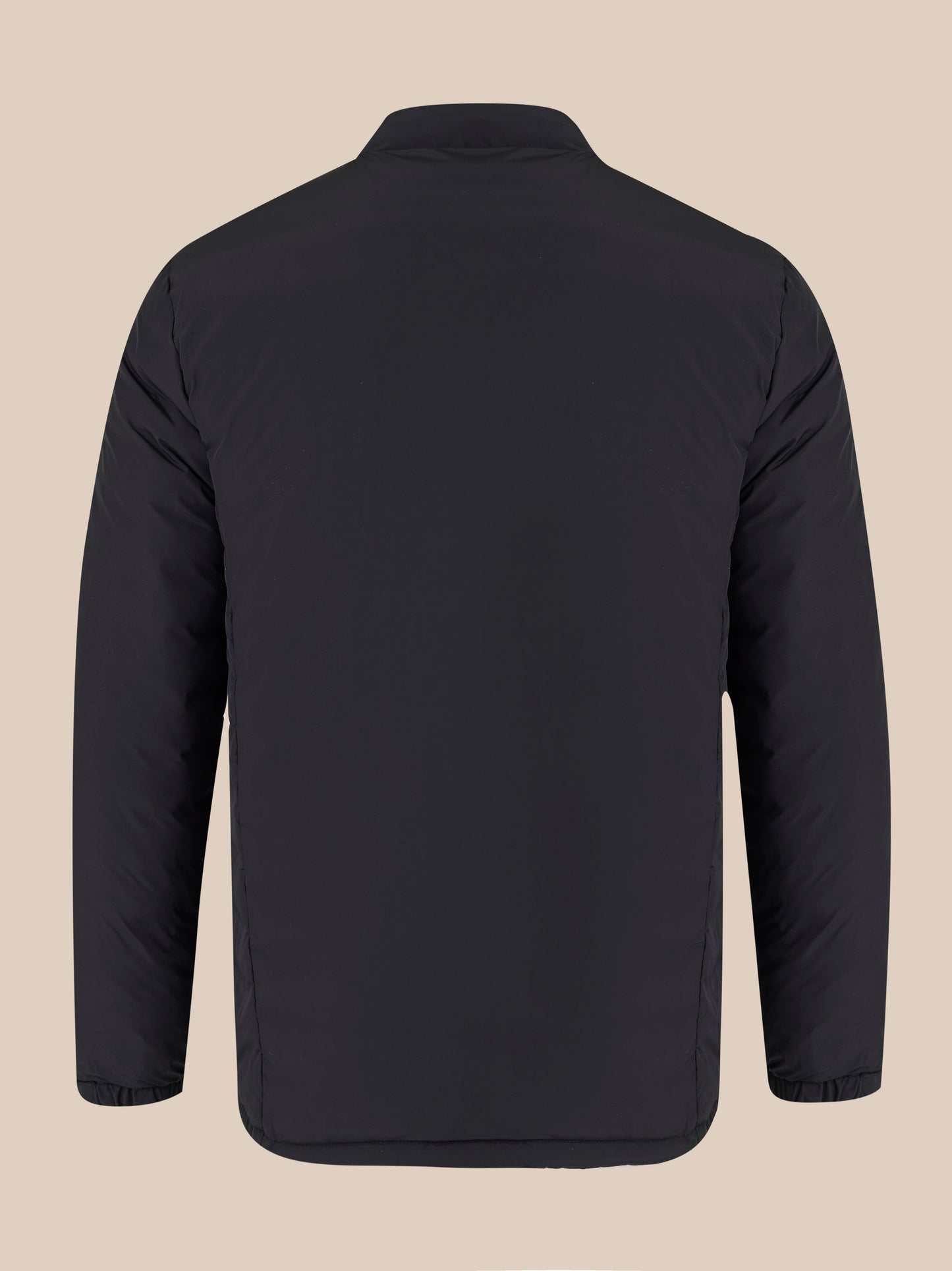 Back view of black padded jacket with high collar and clean lines